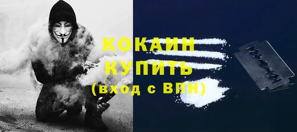 индика Семёнов