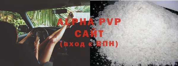 индика Семёнов