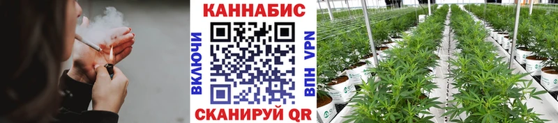 магазин    Тотьма  МАРИХУАНА гибрид 
